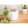 Crane Usa Small Air Purifier with 2.5 PPM filter capability EE-7002AIR